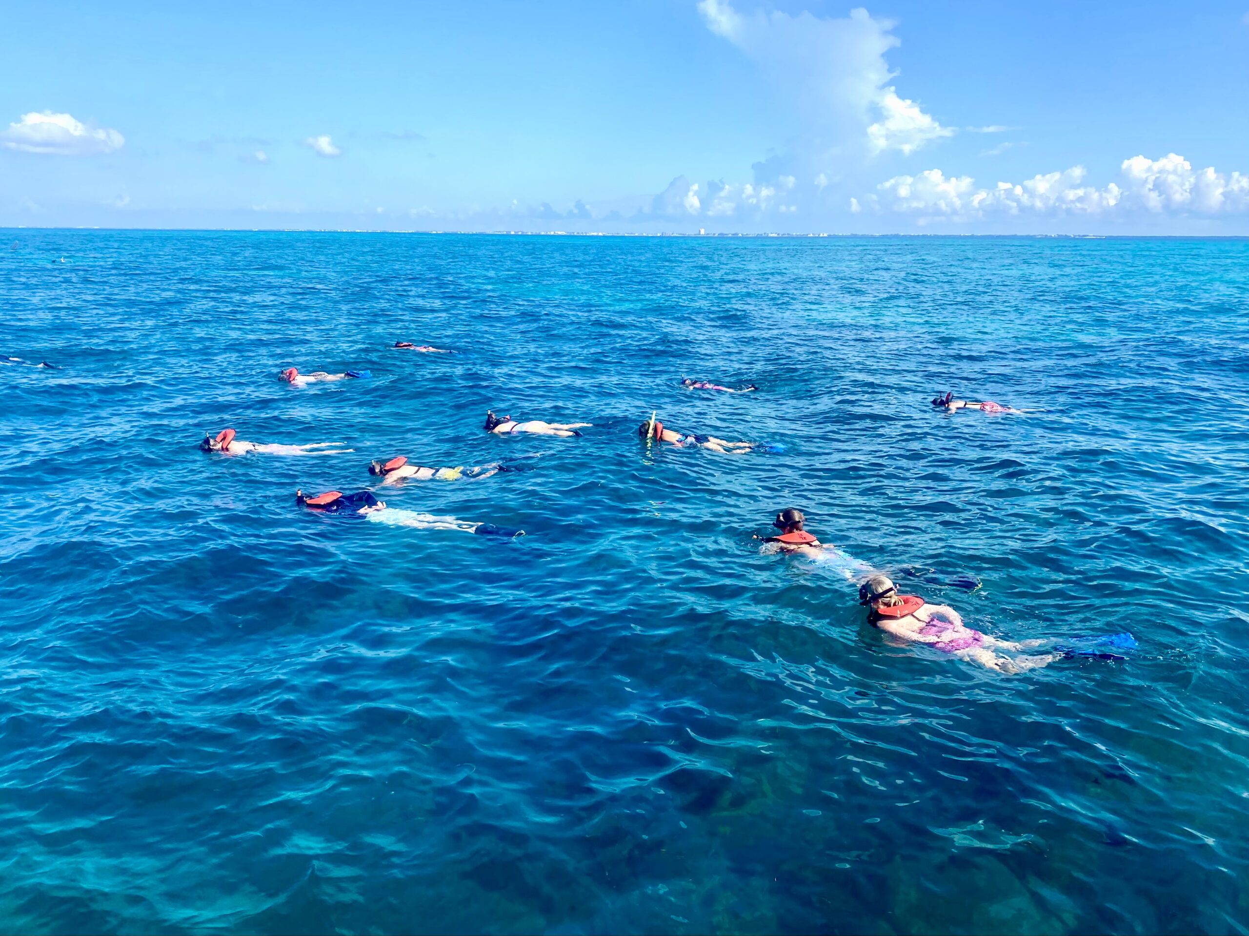 Home - Marina Marathon